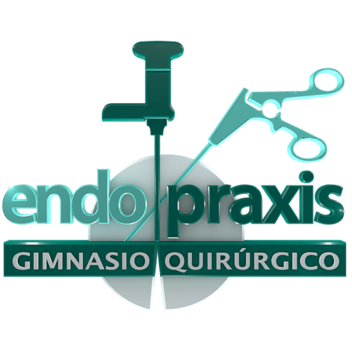 Logo de Endopraxis